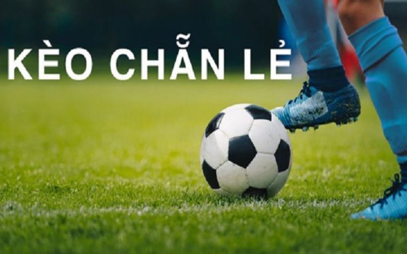 Kinh Nghiệm Chơi Kèo Chẵn Lẻ Hiệu Quả