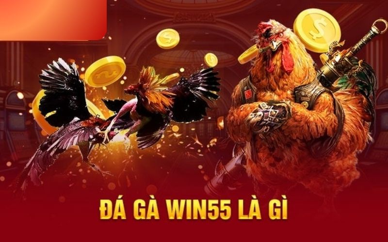 Ưu điểm của dịch vụ đá gà Win55